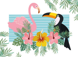 pattern of tucan and flemish with summer flowers © Grgroup