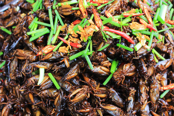 close up of Fried insects protein rich food,  insect crispy with sauce and garnish thai pepper 