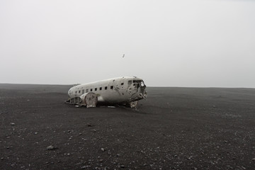 Solheimasandur DC-3 Plane Wreck, Iceland