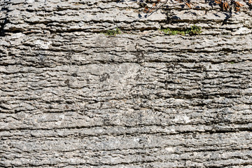 Background of layered rock (limestone) separated by layers of clay. Lessinia stone or Prun stone. Plateau of Lessinia, Verona, Veneto, Italy