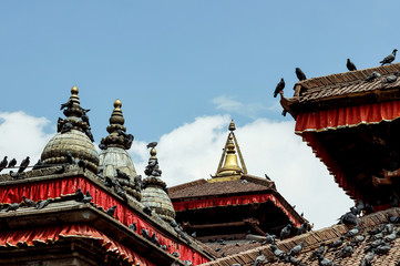 pigeons on temple roof at Durbar Square in Nepal	