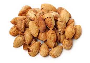 apricot kernel isolated on white background