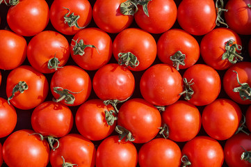 many fresh ripe red round tomato background