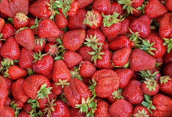 many fresh ripe strawberry berries background