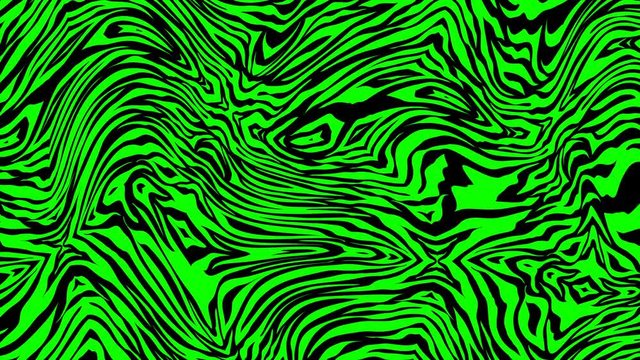 Seamless young animation of psychedelic animal print with duotono colors.Art collage zebra  pattern rainbow turbulence background.