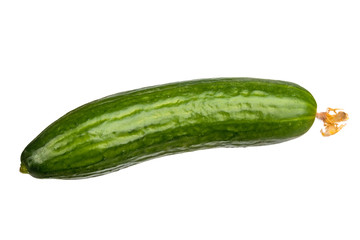 Single shiny dark green cucumber with flower
