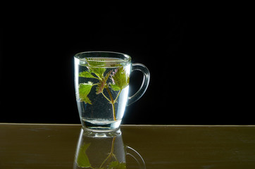 Cup of medicinal nettle tea on black background