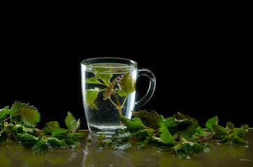 Cup of medicinal nettle tea with nettle leaves on black background
