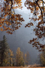 autumn in yosemite valley, california