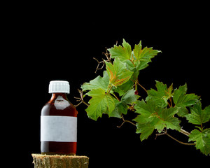 BEAUTIFUL BRANCH OF VIBURNUM AND A BOTTLE OF MEDICINE ON DARK BACKGROUND