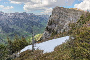 Fototapeta na wymiar Beatenberg - Niederhorn - traumhafte Aussichten - Interlaken
