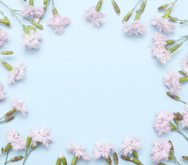Obraz na płótnie Canvas A branch with light pink carnations on textural blue paper. Spring background for design and decoration