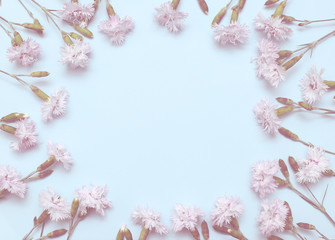 A branch with light pink carnations on textural blue paper. Spring background for design and decoration