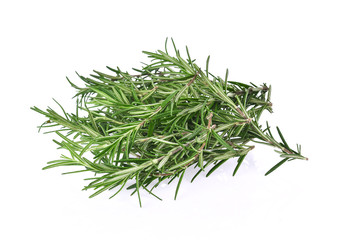 fresh rosemary on white background
