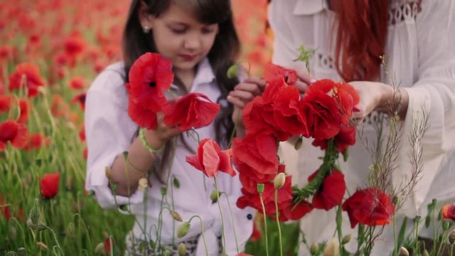 Mom and little daughter make wreaths of poppy flowers in flowered field, close up