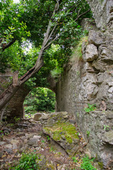 The ruins of the city of Olympos in Turkey	