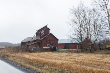 Barn in Finlandia