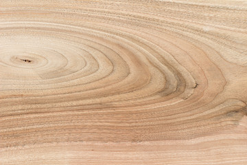 Wood texture background with natural pattern, close up view