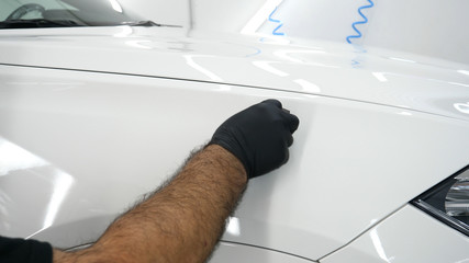 The professional worker holds a white sponge in his hand, applies liquid, auto repair shop, car...