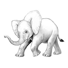 cartoon scene with little elephant on white background safari coloring page sketchbook illustration for children