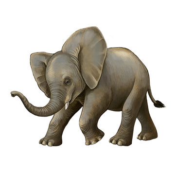 cartoon scene with little elephant on white background safari illustration for children