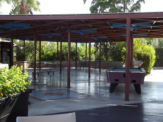 table and chairs in a garden