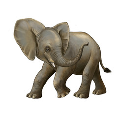 cartoon scene with little elephant on white background safari illustration for children