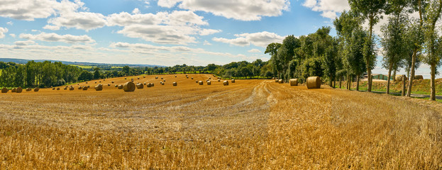 Landschaft Panorama mit Feld nach Ernte im Sommer