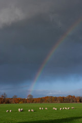 Autumn colors. Fall. Netherlands. Rainbow and rain-clouds