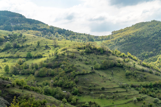 The wild nature of Rhodope mountain in Bulgaria