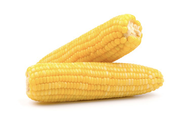 Sweet corn isolated on white background.