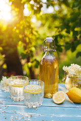 Two glasses of elderflower lemonade with bottle of syrup and elderberry flowers