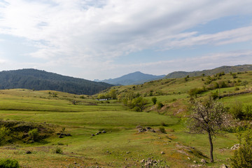 Obraz premium The wild nature of Rhodope mountain in Bulgaria