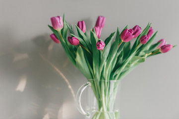 Glass vase with bouquet of beautiful tulips on grey wall background.