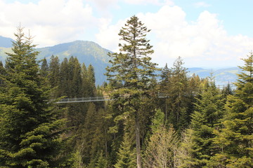 Suspension bridge in Swiss Alps. Outdoor. Tourist routes of Europe. Selective focus.