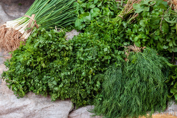 Fresh green Cilantro, Mint and spring Onion vegetables in Asian morning market