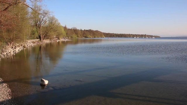 Ufer in Stegen am Ammersee in Bayern Deutschland