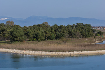 Beach of village of Keramoti, East Macedonia and Thrace, Greece