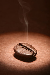 One roasted coffee bean with smoke on top on brown background. Macro view. 