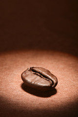 One roasted coffee bean on brown background. Macro view. 