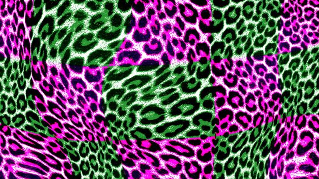 Seamless young animation of psychedelic animal print with duotono colors.Art collage leopard pattern acid turbulence background.