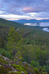 Fototapeta premium Aerial view of Colorful sunset landscape on the coast of the North Sea. Karelian pine on the rocks on the shore of the White Sea. Coast Murmansk region, Kandalaksha Nature Reserve.