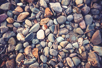 Colorful pebbles on the seashore
