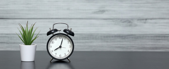 Clock with alarm clock and home plant in a pot on the table. The mode of the day, schedule, free...