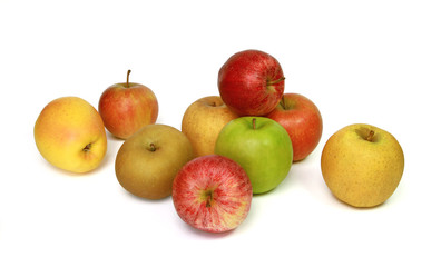 Naklejka na ściany i meble Différentes variétés de pommes 