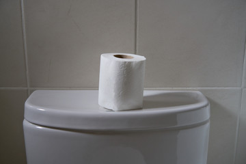 White toilet bowl in a bathroom with the roll of paper on top in perfect tones for backgrounds