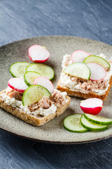 Delicious tuna sandwich, served with radish and cucumber