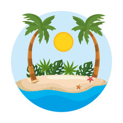 Fototapeta premium Palm tree of summer season design