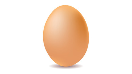 Egg isolated on white background vector illustration