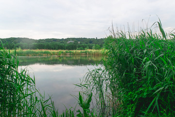 Dutch polder landscape in Ooij
